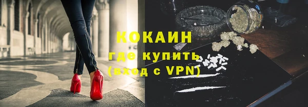 твердый Алзамай