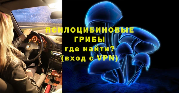 твердый Алзамай
