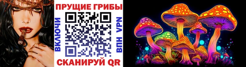 Псилоцибиновые грибы Magic Shrooms  это Telegram  Армянск 